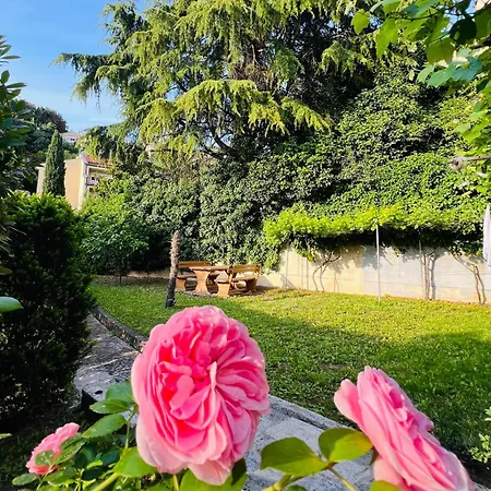 Bed & Breakfast Piran, Authentic Mediterranean Piran